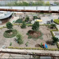 خدمات کلیه باغبانی باغچه کاری گلکاری کاشت گل وگیا