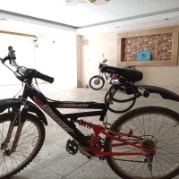 دوچرخه ژاپنی اصل