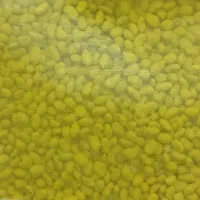 بذر یونجه سرد سیر و گرم سیر