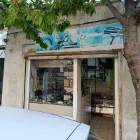 مغازه