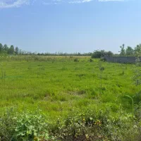 زمین مسکونی و جای آب هوای خوب|فروش زمین و ملک کلنگی|تولم شهر, |دیوار