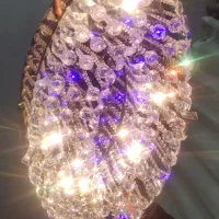 دو عدد لوستر