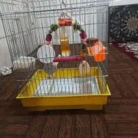 قفس تمیز