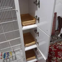 قفس عروس|حیوانات مزرعه|آشتیان, |دیوار