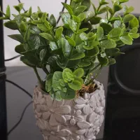 گلدان گل مصنوعی برای روز مادر هدیه به مادرای عزیز|گل مصنوعی|مشهد, شهرک رازی (شهرک غرب)|دیوار