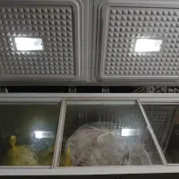 فروش یخچال صندوقی صفر|یخچال و فریزر|کتالم و سادات شهر, |دیوار