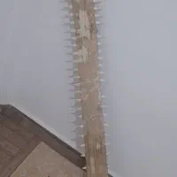 اره ماهی|کلکسیون اشیاء عتیقه|قشم, |دیوار