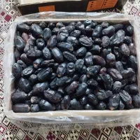 خرمای مضافتی بم