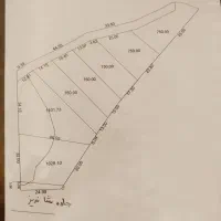 جاده کاهو تعدادی زمین باموقعیت عالی