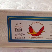 تشک نوجوان  سالم و تمیز