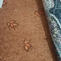 دوتا تیکه موکت ۱۲متری وراهرویی