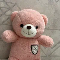 عروسک تدی صورتی