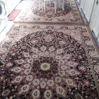 فرش ماشینی|فرش|میانه, |دیوار