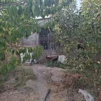 فروش باغچه کردان اغشت|فروش زمین و ملک کلنگی|کرج, مهرویلا جنوبی|دیوار