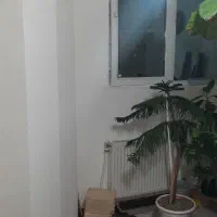 رهن آپارتمان بلوار عدالت