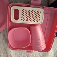 ظرف مسافرتی