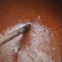 سمنو همراه با بازدید و تست حضوری