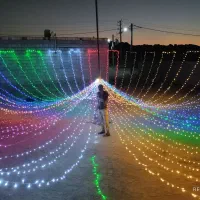 ریسه ارائی روشنک