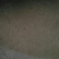 فروش موکت|موکت|شیراز, گلدشت معالیآباد|دیوار