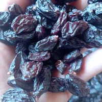 محصولات خانگی|خوردنی و آشامیدنی|شیراز, باغ تخت|دیوار