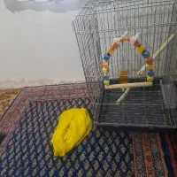 قفس بزرگ نو با لوازم