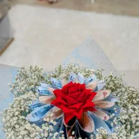 گل ربانی|گل و گیاه طبیعی|ساوه, |دیوار