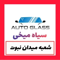 شیشه اتومبیل سیاه میخی میدان نبوت