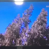 تلوزیون ال ای دی ۴۳ اینچ اسنوا