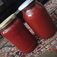 رب خانگی پلمپ شده  خیارشور