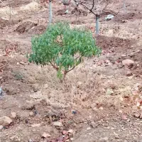 سلام زمین فروشی