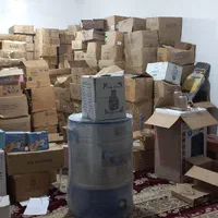 ۲۵ هزار مجسمه و لوازم برقی با هم فروش میرسد