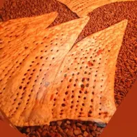 کار و مجوز از من سرمایه از شما