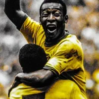 سالنی باز ها