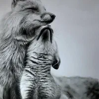 آموزش سیاه قلم و رشته های مختلف نقاشی با مدرک|خدمات آموزشی|شیراز, پارک آزادی|دیوار