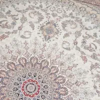 قالی ۱۲متری کرم|فرش|گالیکش, |دیوار