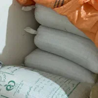 بذر باقلا هیستال درجه یک|گل و گیاه طبیعی|گرگان, |دیوار