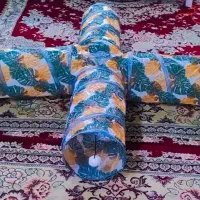 تونل گربه