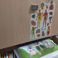 میز تحریر مفت