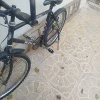 دوچرخه آساک دماوند 26|دوچرخه، اسکیت، اسکوتر|مشهد, شهید قربانی|دیوار