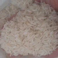 برنج ۳۸۶|خوردنی و آشامیدنی|مشهد, خاتم الانبیا|دیوار