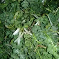سبزی کوهی .