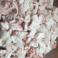 دمار و رگ وپی ماهیچه گوساله