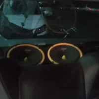 میدرنج دهنه ۸ ساووی اصلی|قطعات یدکی و لوازم جانبی|تربتحیدریه, فرمانداری|دیوار