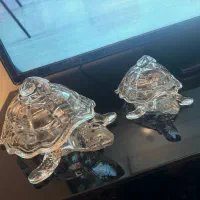 شکلات خوری کریستال لاک پشت