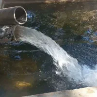 فروش-زمین-کشاورزی