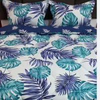 روتختی در حد نو