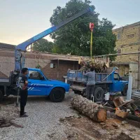 جرثقیل نیسان|خدمات حمل و نقل|شوش, |دیوار