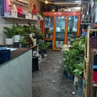 واگذاری مغازه گلفروشی