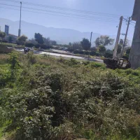 فروش زمین تجاری مسکونی|فروش زمین و ملک کلنگی|خلیل شهر, |دیوار