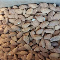 مغز بادام خارجی
